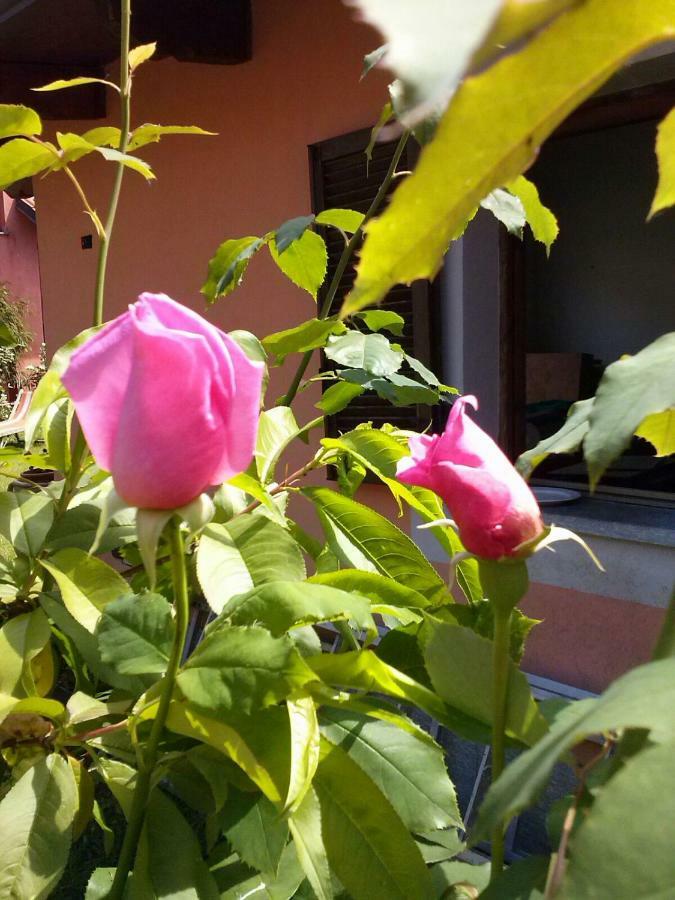 Bed and Breakfast Le Ginestre Caselle Torinese Exteriér fotografie